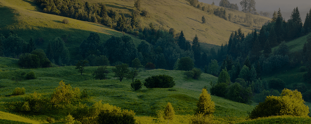 葡萄王生技股份有限公司介紹影片