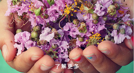 賀！葡萄王生技榮獲2016天下雜誌最佳聲望標竿企業！