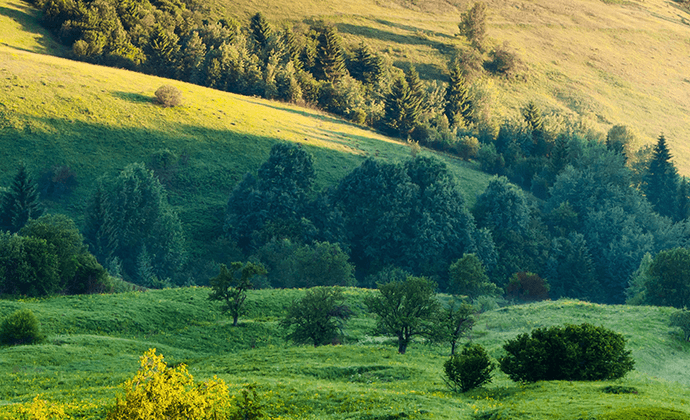 葡萄王生技股份有限公司
