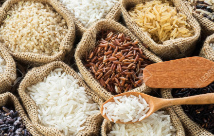 食品中赭麴毒素A檢驗分析