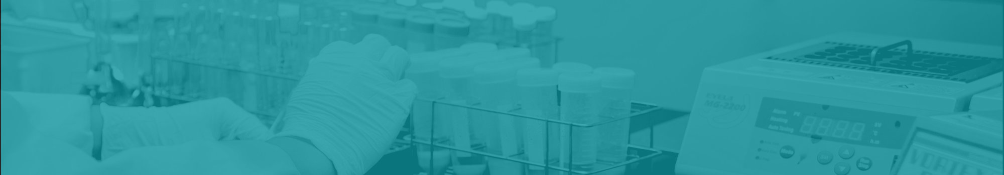 報告修訂申請單