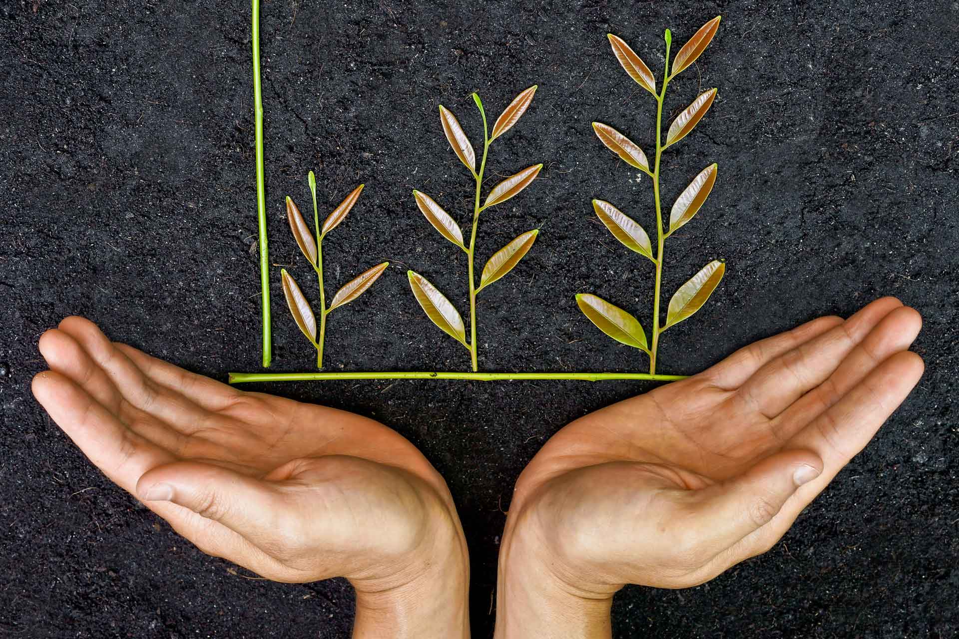 企業社會責任守則